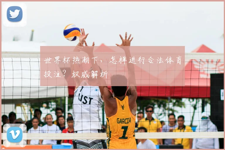 世界杯热潮下，怎样进行合法体育投注？权威解析