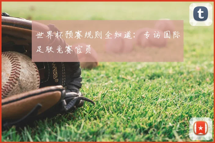 世界杯预赛规则全知道：专访国际足联竞赛官员