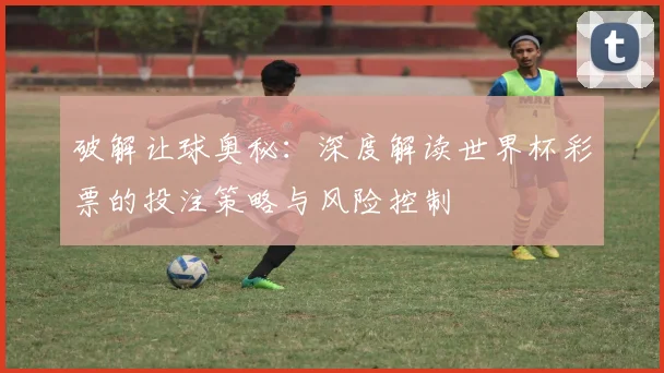 破解让球奥秘:深度解读世界杯彩票的投注策略与风险控制