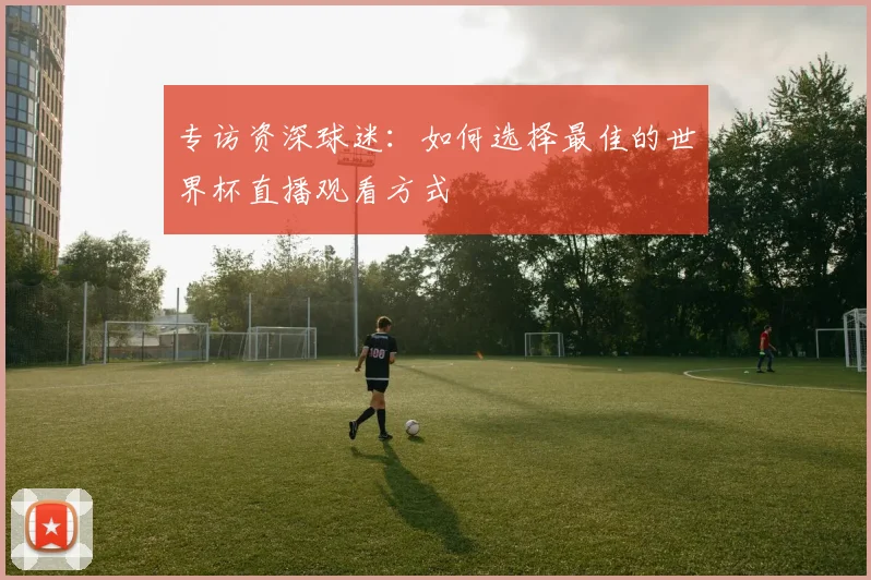 专访资深球迷：如何选择最佳的世界杯直播观看方式