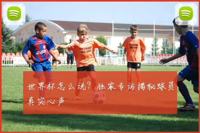 世界杯怎么说?独家专访揭秘球员真实心声