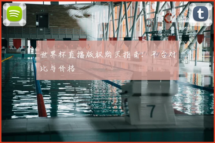 世界杯直播版权购买指南：平台对比与价格